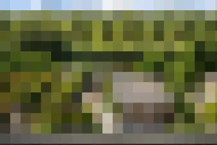 Basalt 87 Zoetermeer thumbnail 77