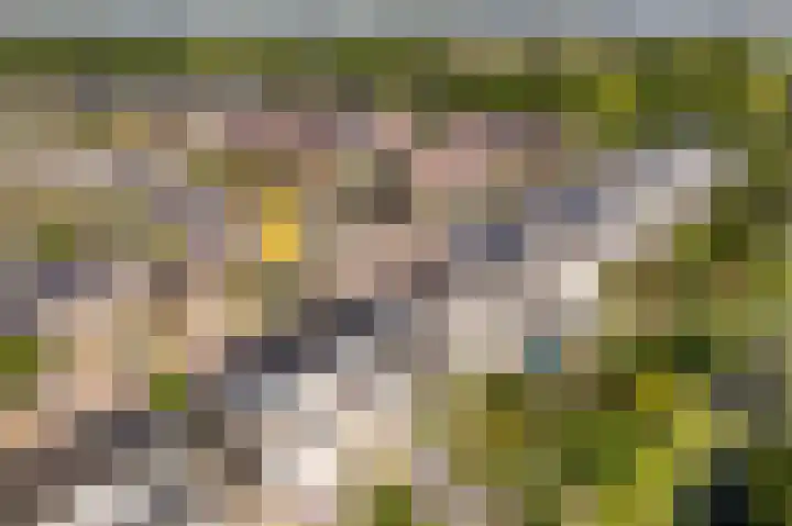 Basalt 87 Zoetermeer thumbnail 78