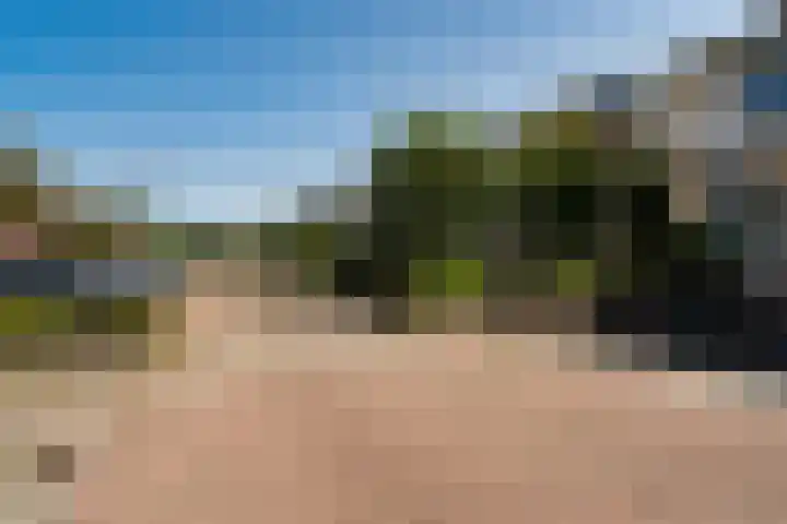 Basalt 87 Zoetermeer thumbnail 81