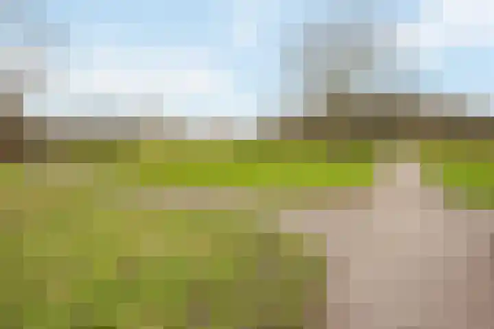 Basalt 92 Zoetermeer thumbnail 32