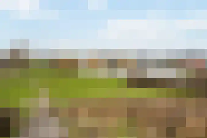 Basalt 92 Zoetermeer thumbnail 33