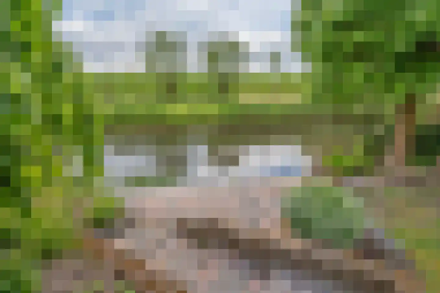 Basalt 95 Zoetermeer thumbnail 12