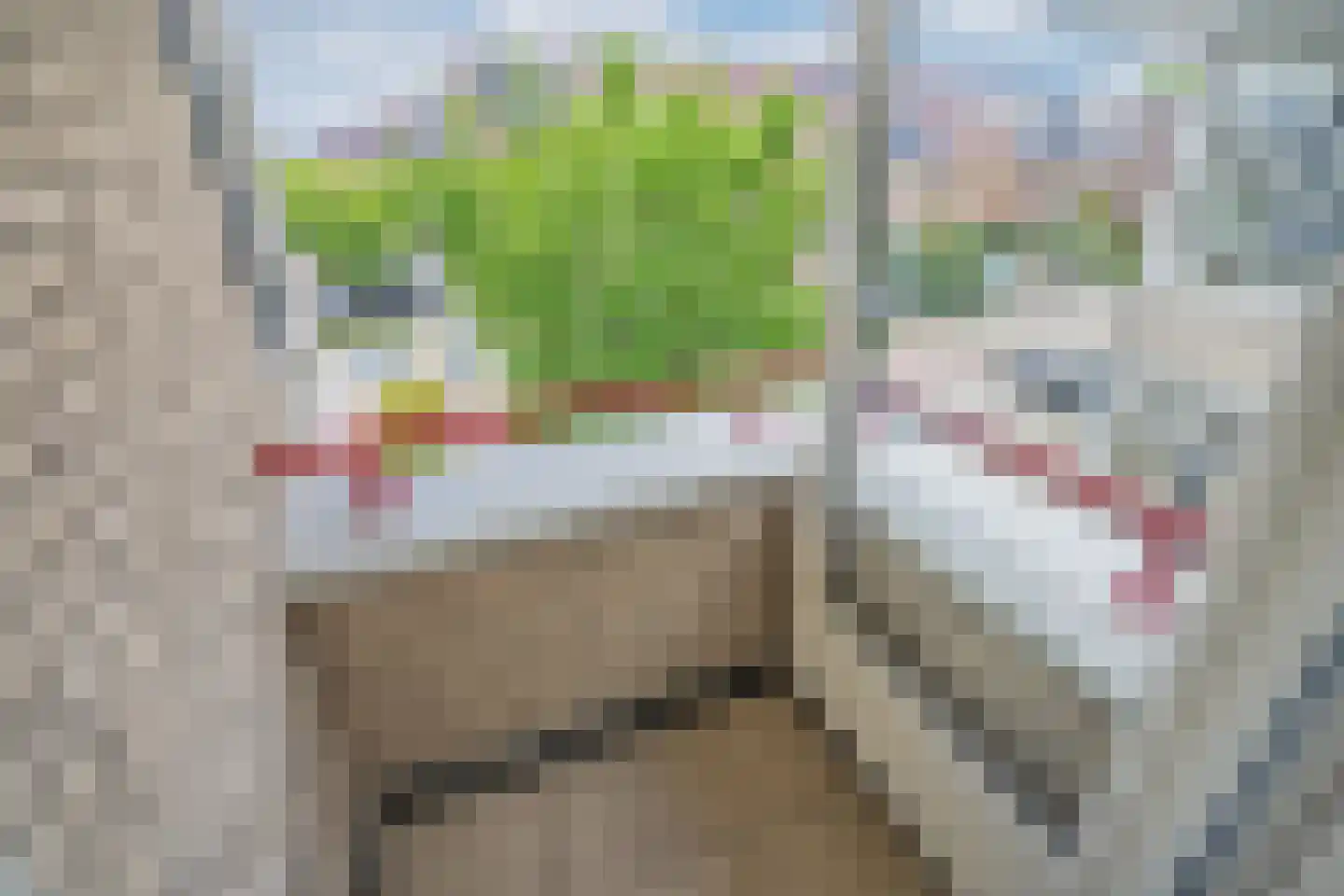 Basalt 95 Zoetermeer thumbnail 34