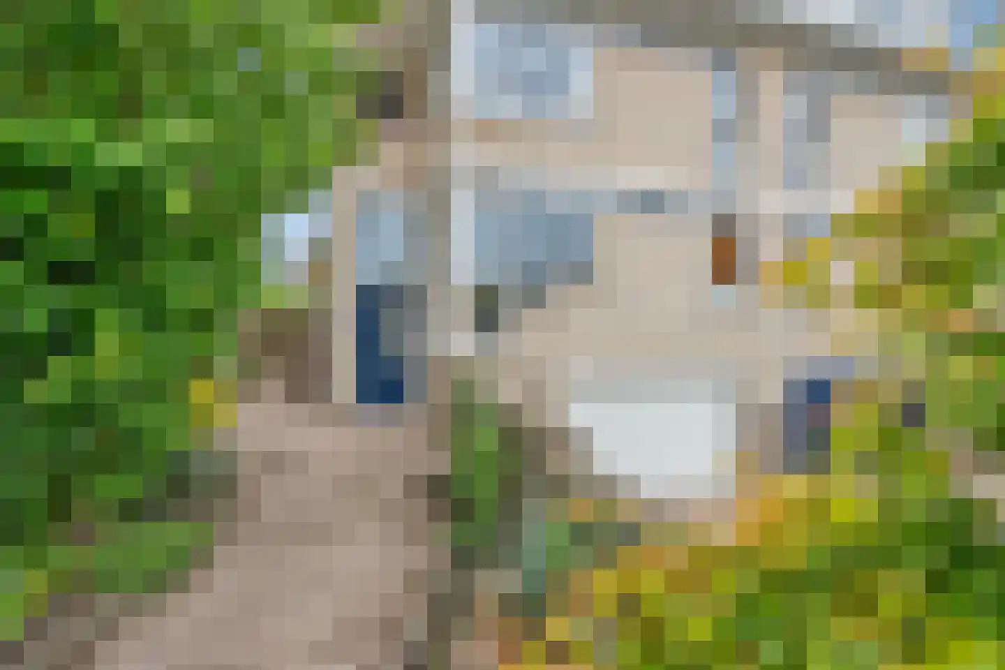 Basalt 95 Zoetermeer thumbnail 6