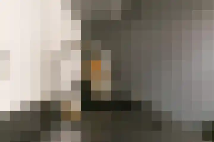 Basaltoever 1 Nieuwegein thumbnail 11