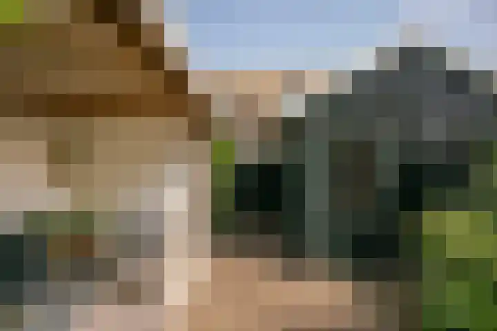 Basaltoever 1 Nieuwegein thumbnail 17