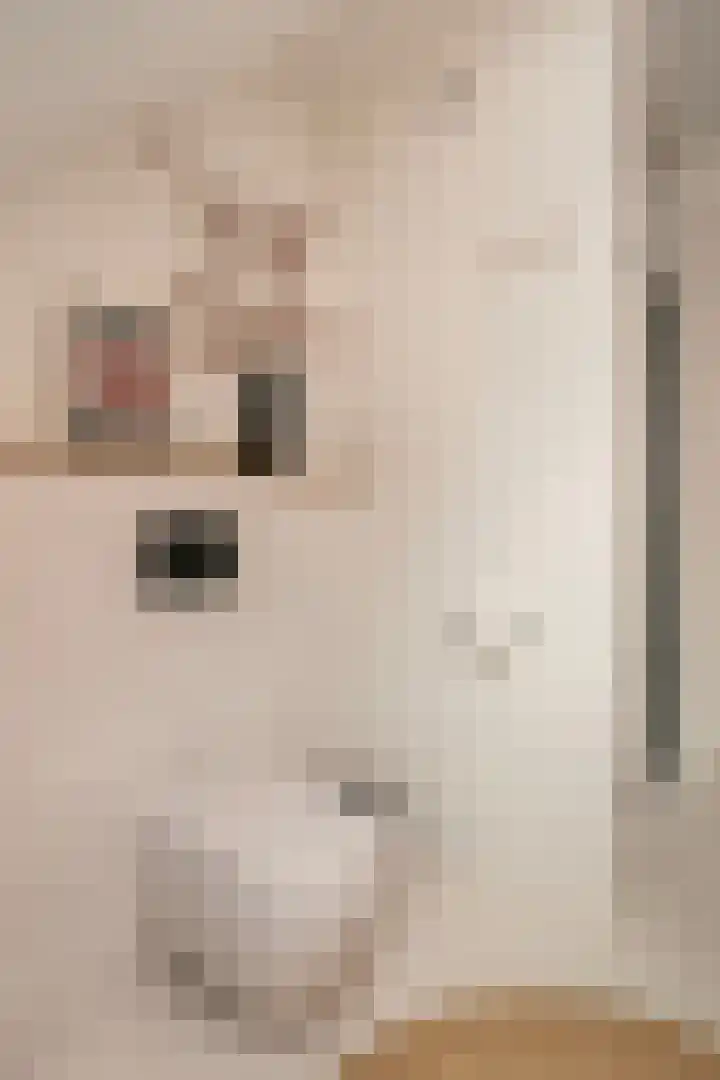 Basaltoever 1 Nieuwegein thumbnail 22