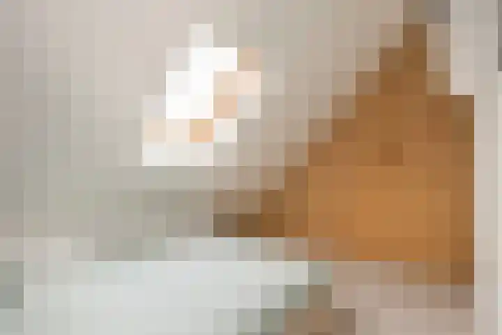 Basaltoever 1 Nieuwegein thumbnail 30