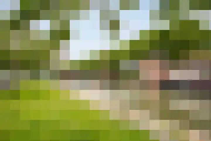 Basaltoever 1 Nieuwegein thumbnail 34