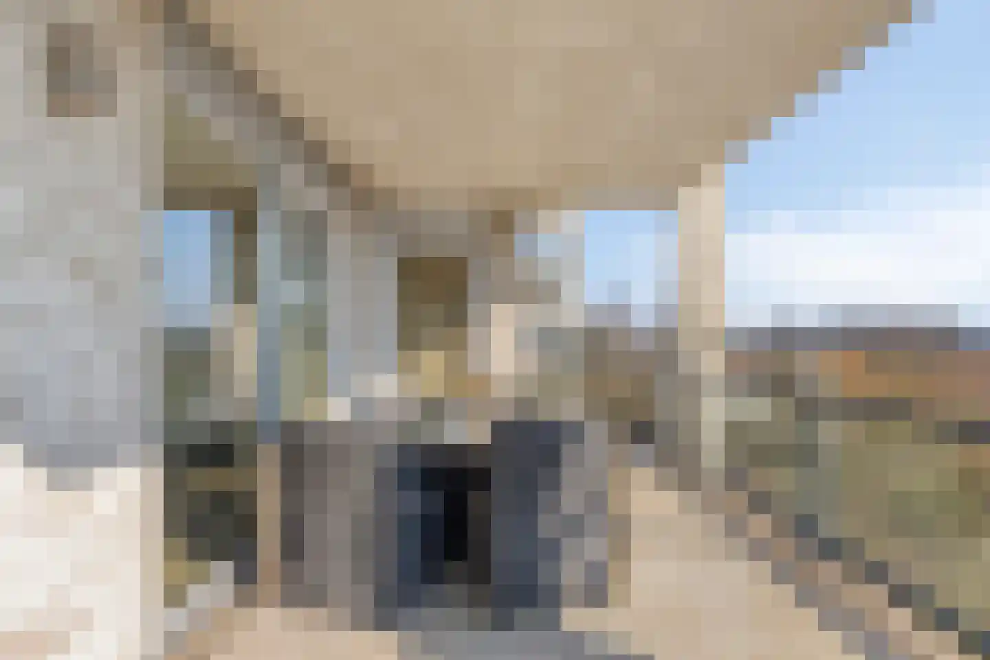 Basaltpromenade 115 Terneuzen thumbnail 37