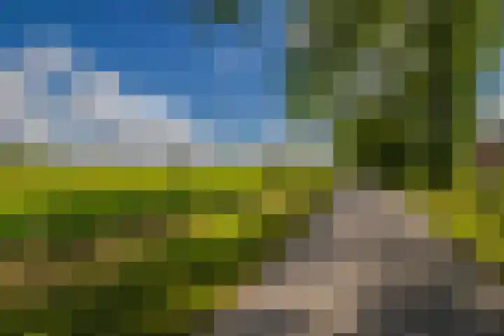 Basculebrug 14 Arnhem thumbnail 43