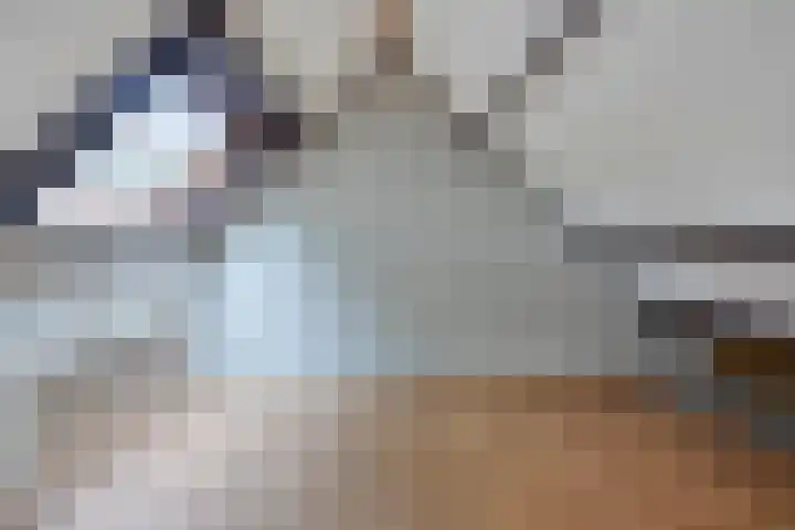 Baselaarshoef 22 Schijndel thumbnail 15