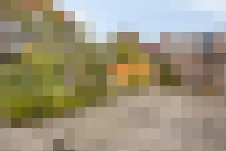Baselaarshoef 22 Schijndel thumbnail 16