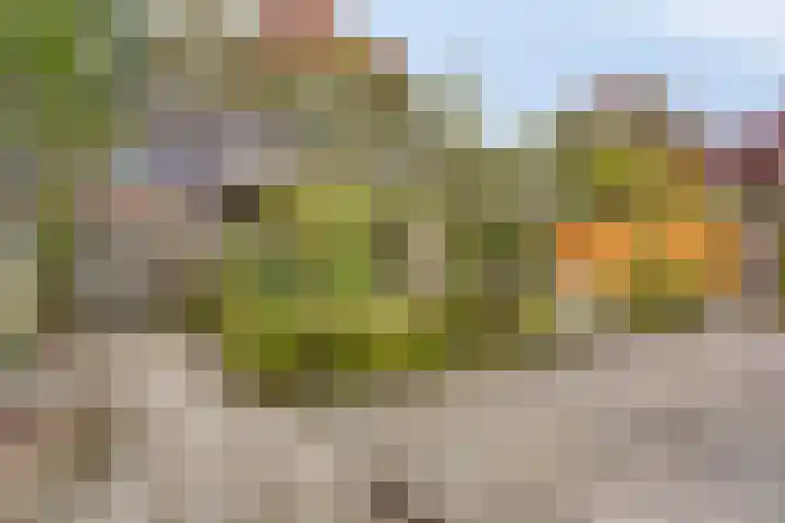 Baselaarshoef 22 Schijndel thumbnail 17