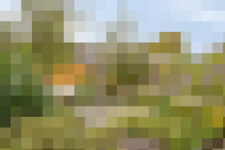Baselaarshoef 22 Schijndel thumbnail 18