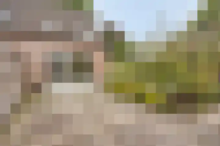 Baselaarshoef 22 Schijndel thumbnail 19