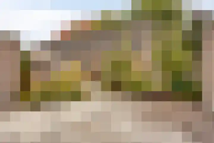 Baselaarshoef 22 Schijndel thumbnail 20