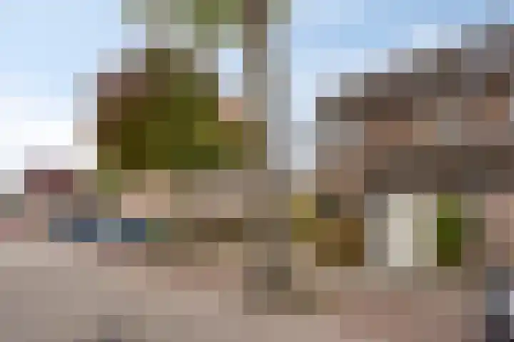 Baselaarshoef 22 Schijndel thumbnail 23