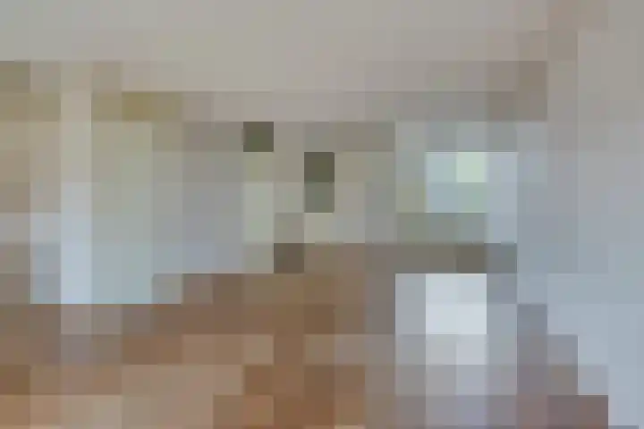 Baselaarshoef 22 Schijndel thumbnail 4