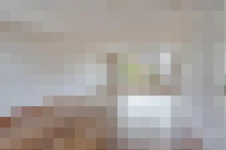 Baselaarshoef 22 Schijndel thumbnail 5