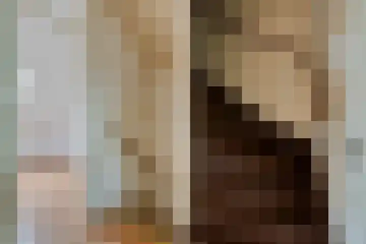 Baselaarshoef 22 Schijndel thumbnail 8