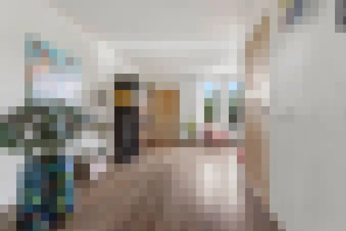 Baselaarshoef 45 Schijndel thumbnail 13