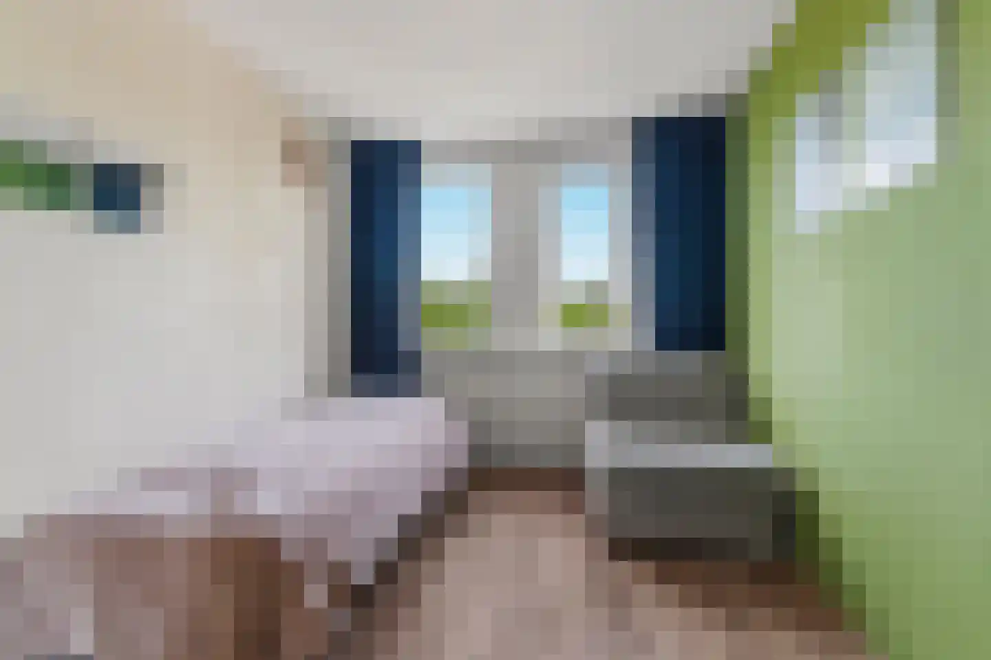 Baselaarshoef 45 Schijndel thumbnail 28