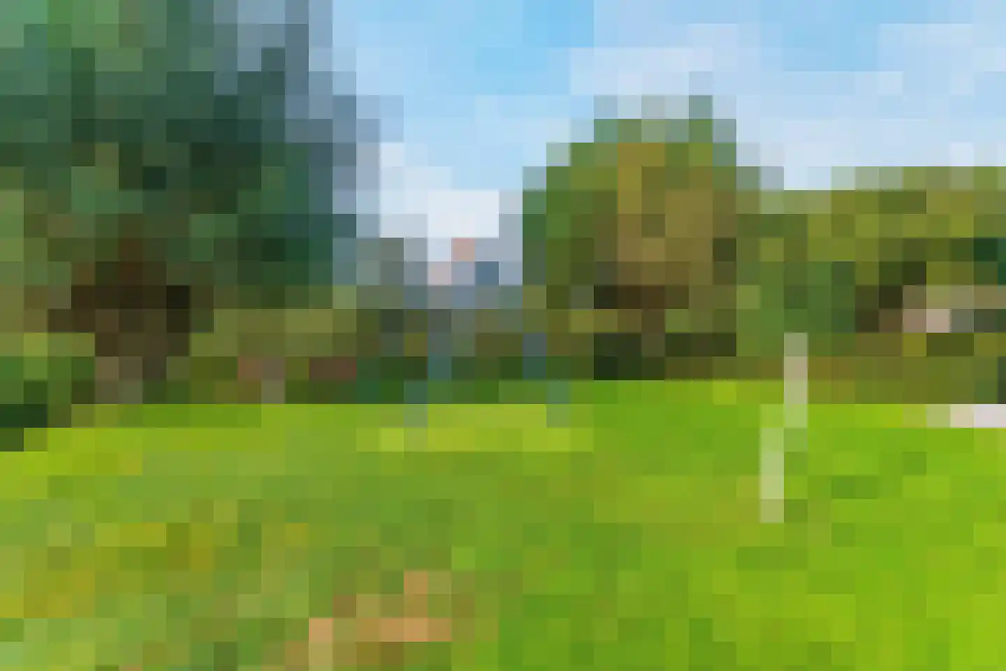Baselaarshoef 45 Schijndel thumbnail 39