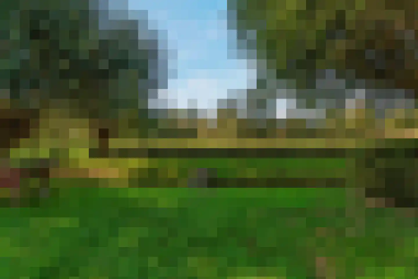 Baselaarshoef 45 Schijndel thumbnail 40