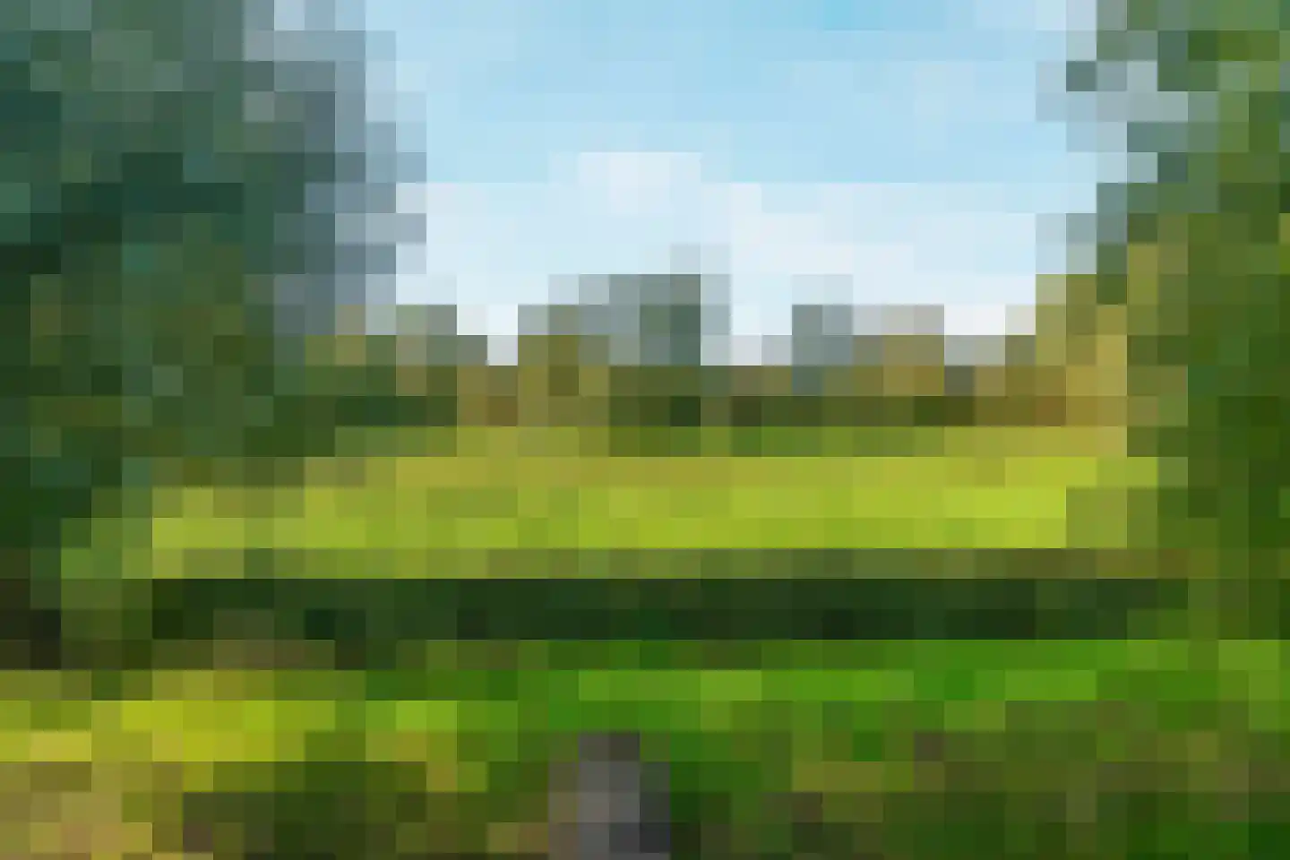Baselaarshoef 45 Schijndel thumbnail 42