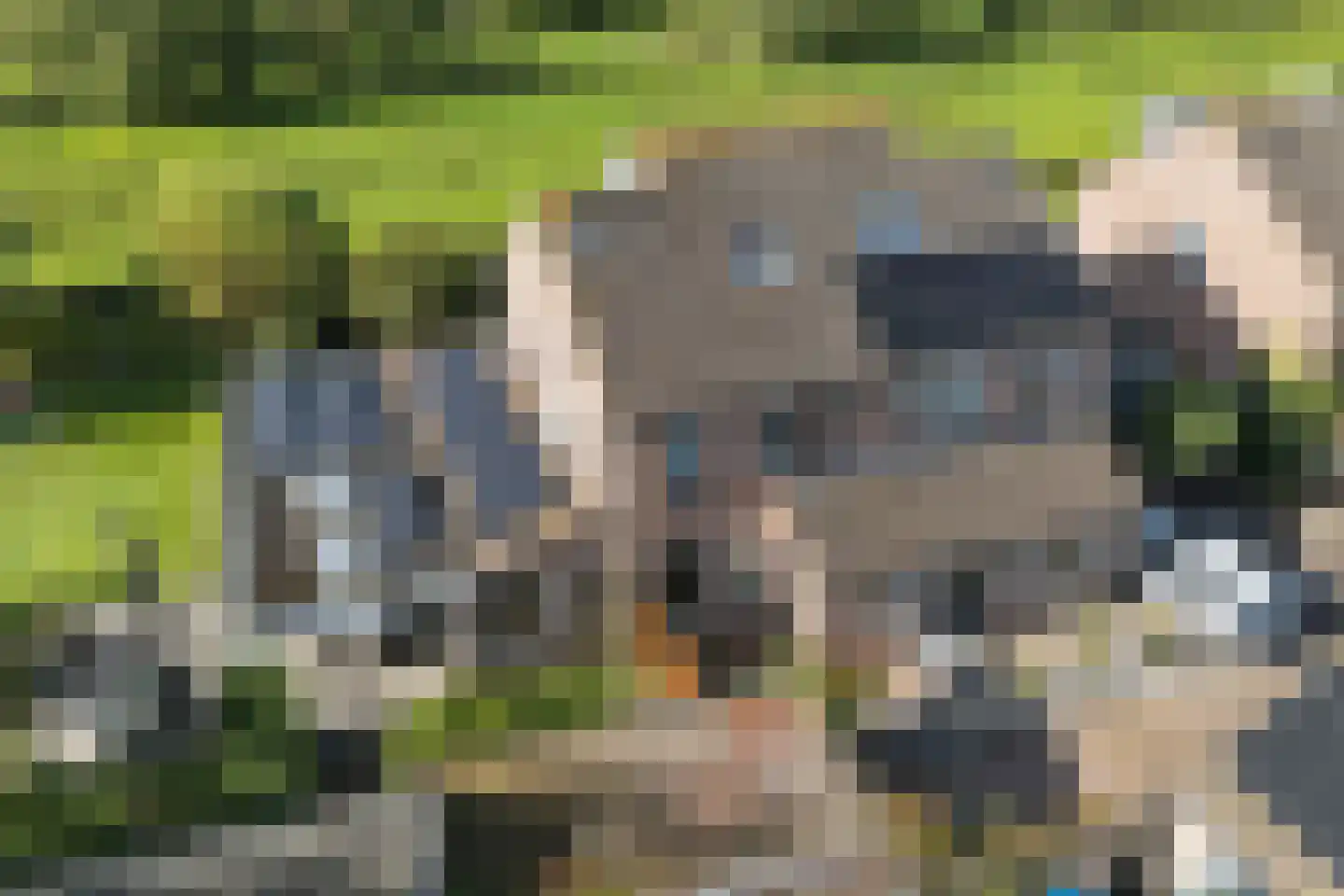 Baselaarshoef 45 Schijndel thumbnail 50