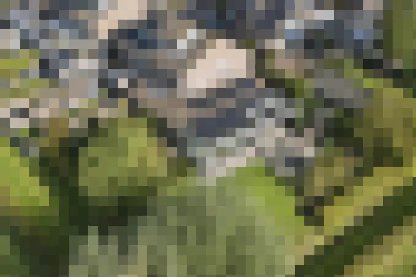 Baselaarshoef 45 Schijndel thumbnail 51