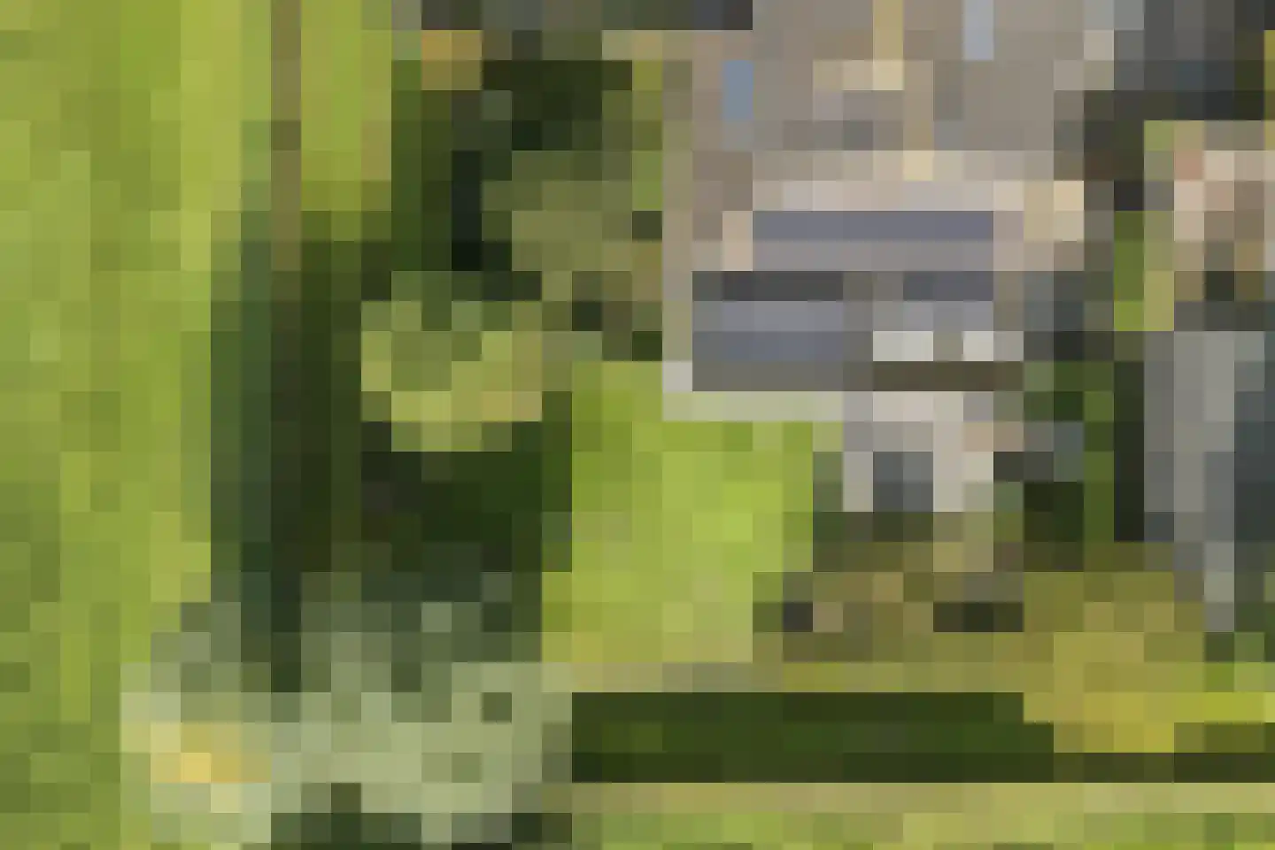 Baselaarshoef 45 Schijndel thumbnail 52