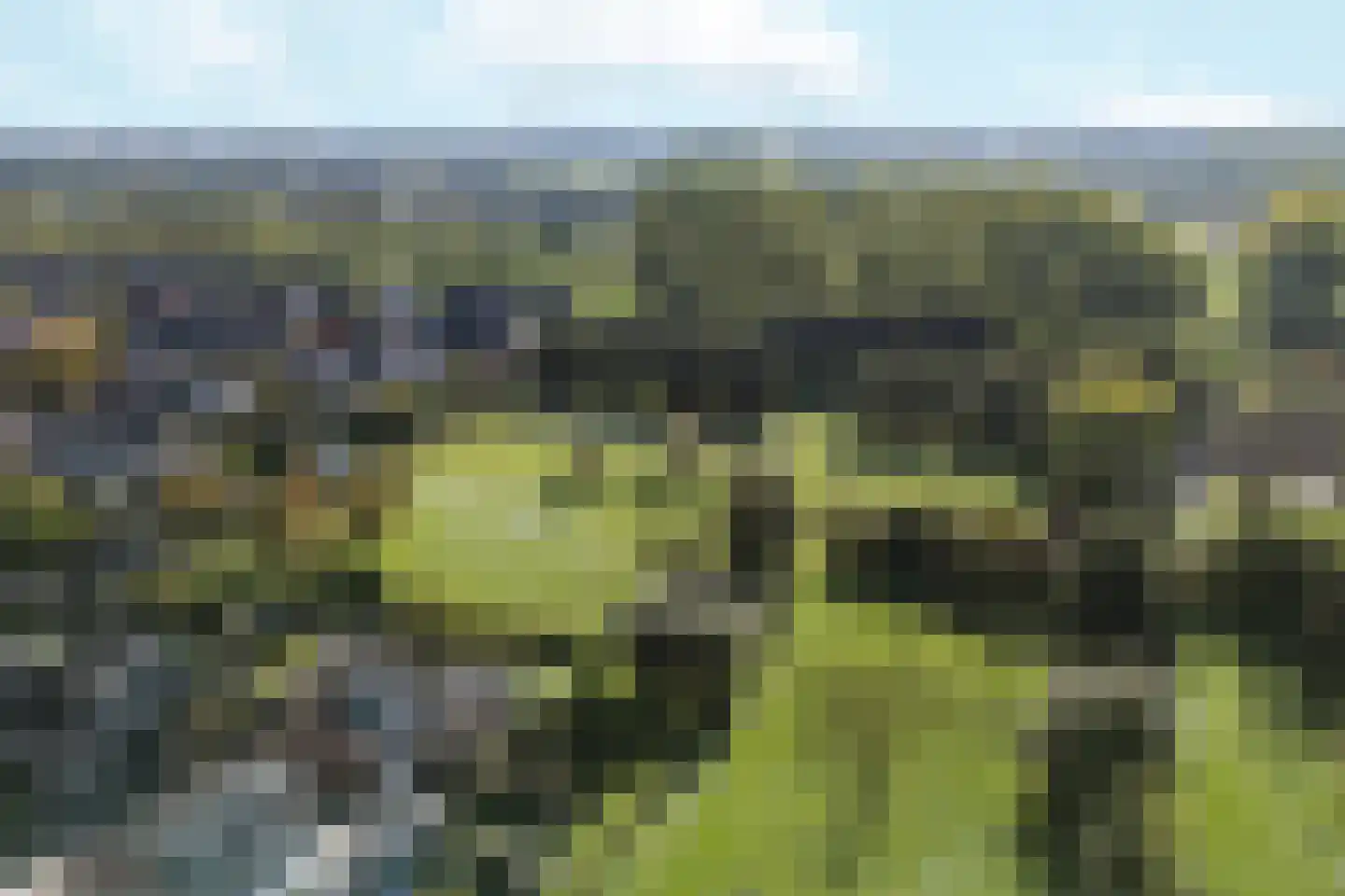 Baselaarshoef 45 Schijndel thumbnail 53