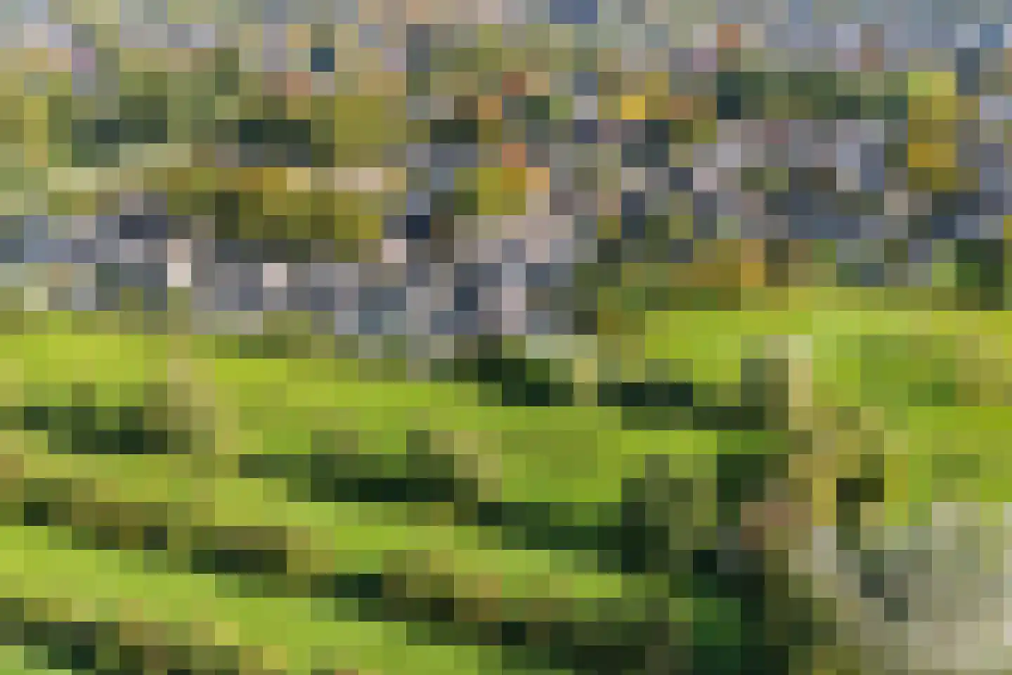 Baselaarshoef 45 Schijndel thumbnail 54