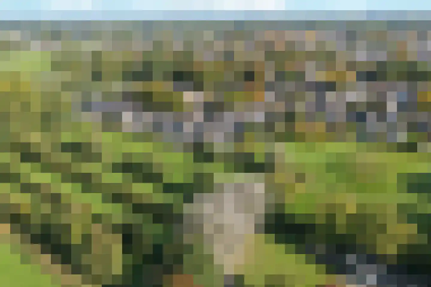 Baselaarshoef 45 Schijndel thumbnail 55