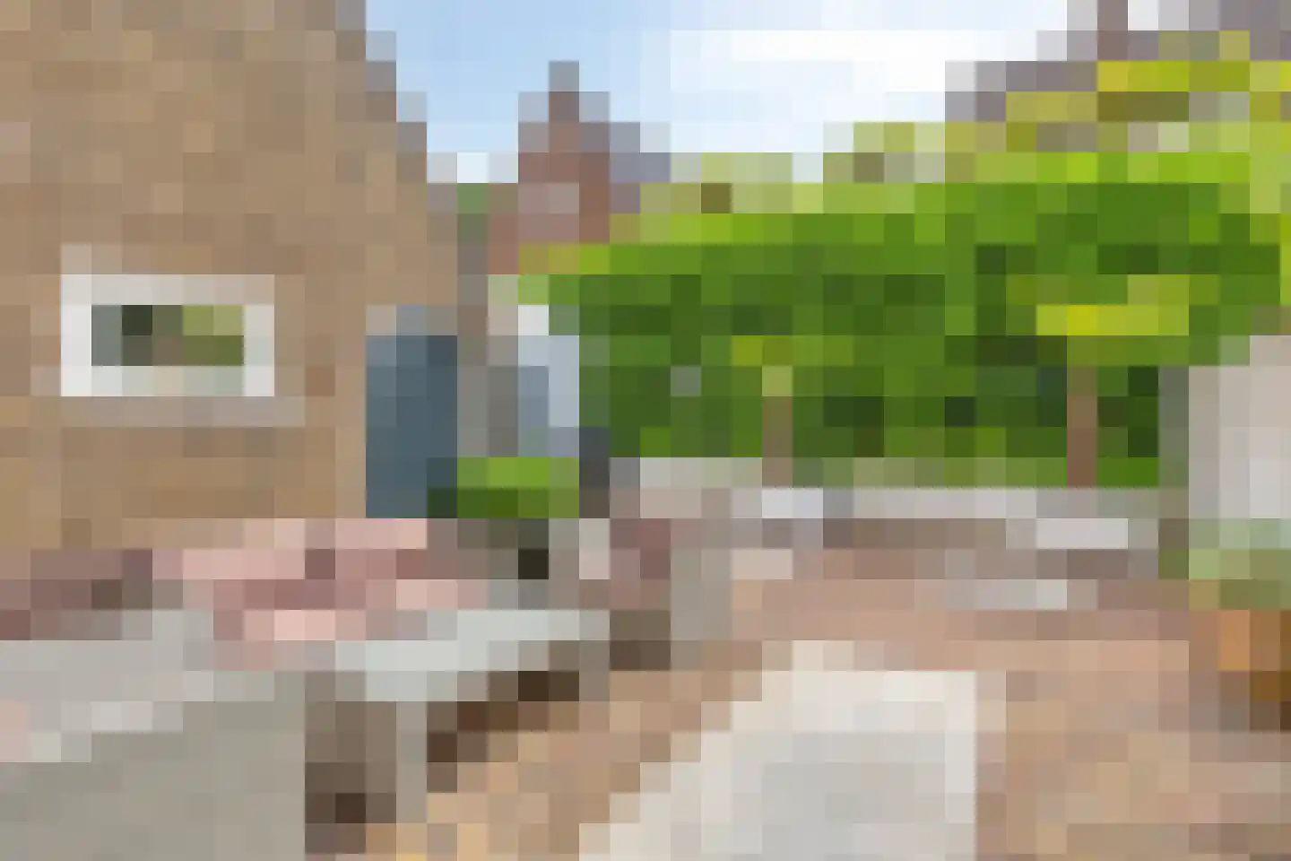 Baselaarsstraat 21 's-Hertogenbosch thumbnail 14