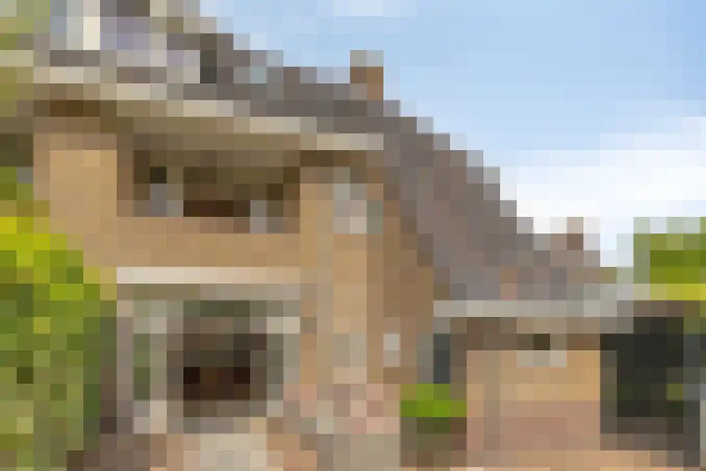 Baselaarsstraat 21 's-Hertogenbosch thumbnail 17