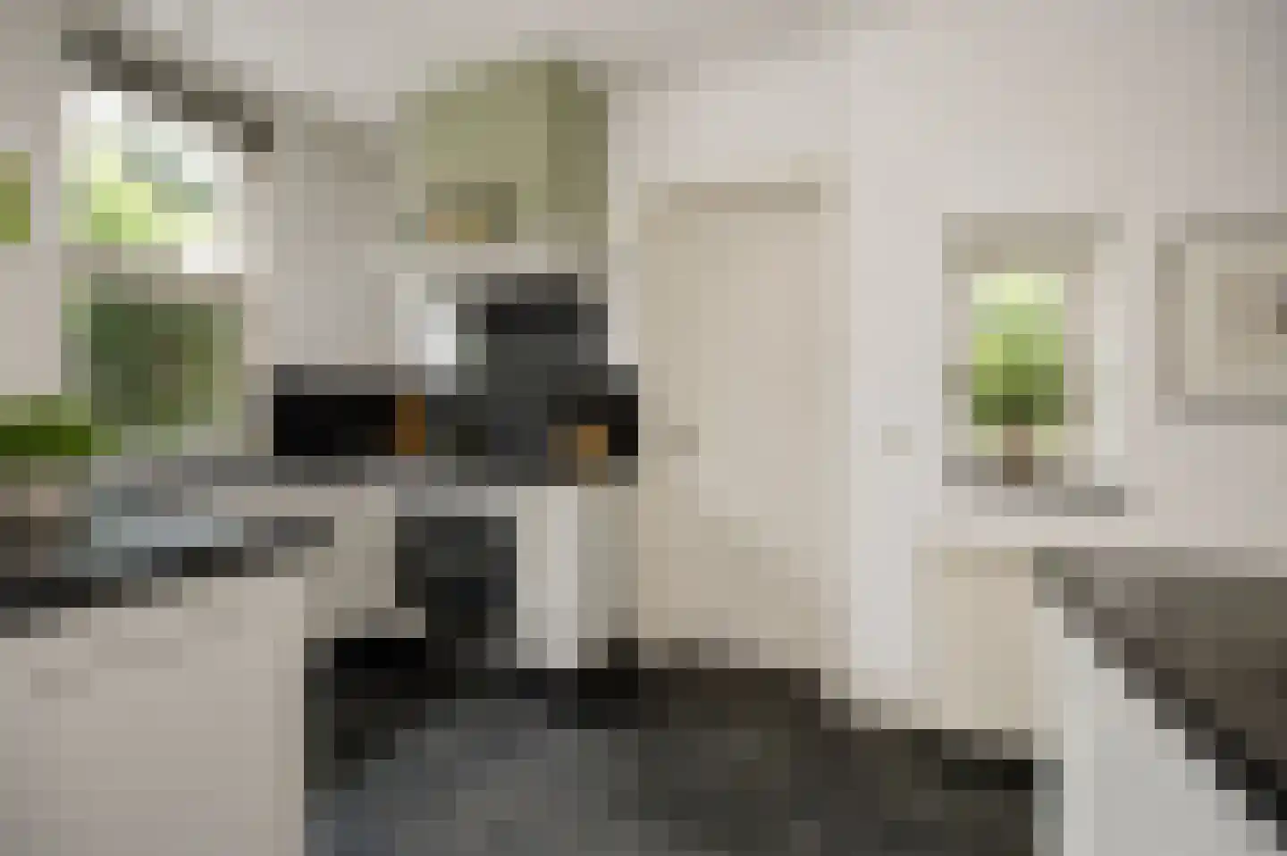 Baselaarsstraat 21 's-Hertogenbosch thumbnail 20
