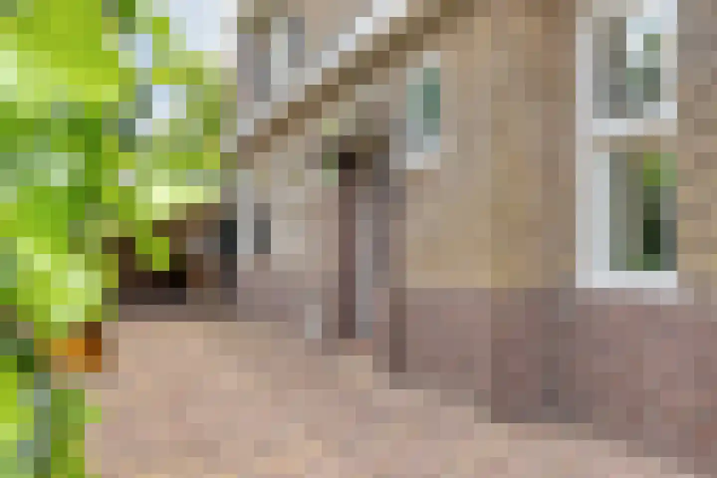 Baselaarsstraat 21 's-Hertogenbosch thumbnail 4