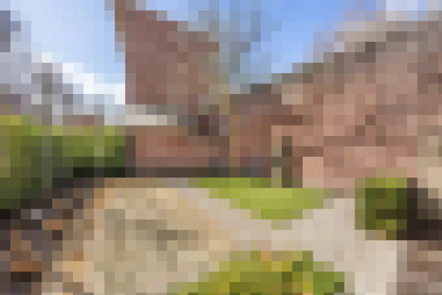 Baselaarsstraat 6 's-Hertogenbosch thumbnail 20