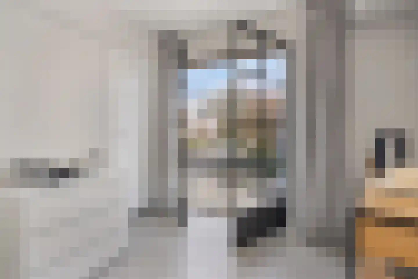 Baselaarsstraat 6 's-Hertogenbosch thumbnail 30