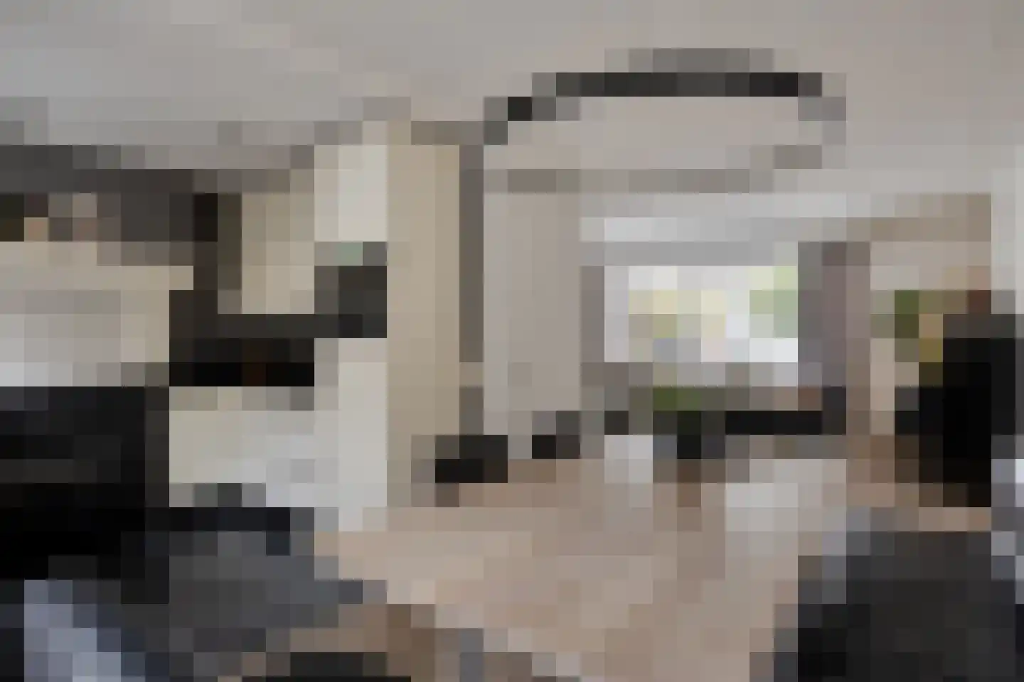 Baselaarstraat 6 Ammerzoden thumbnail 10