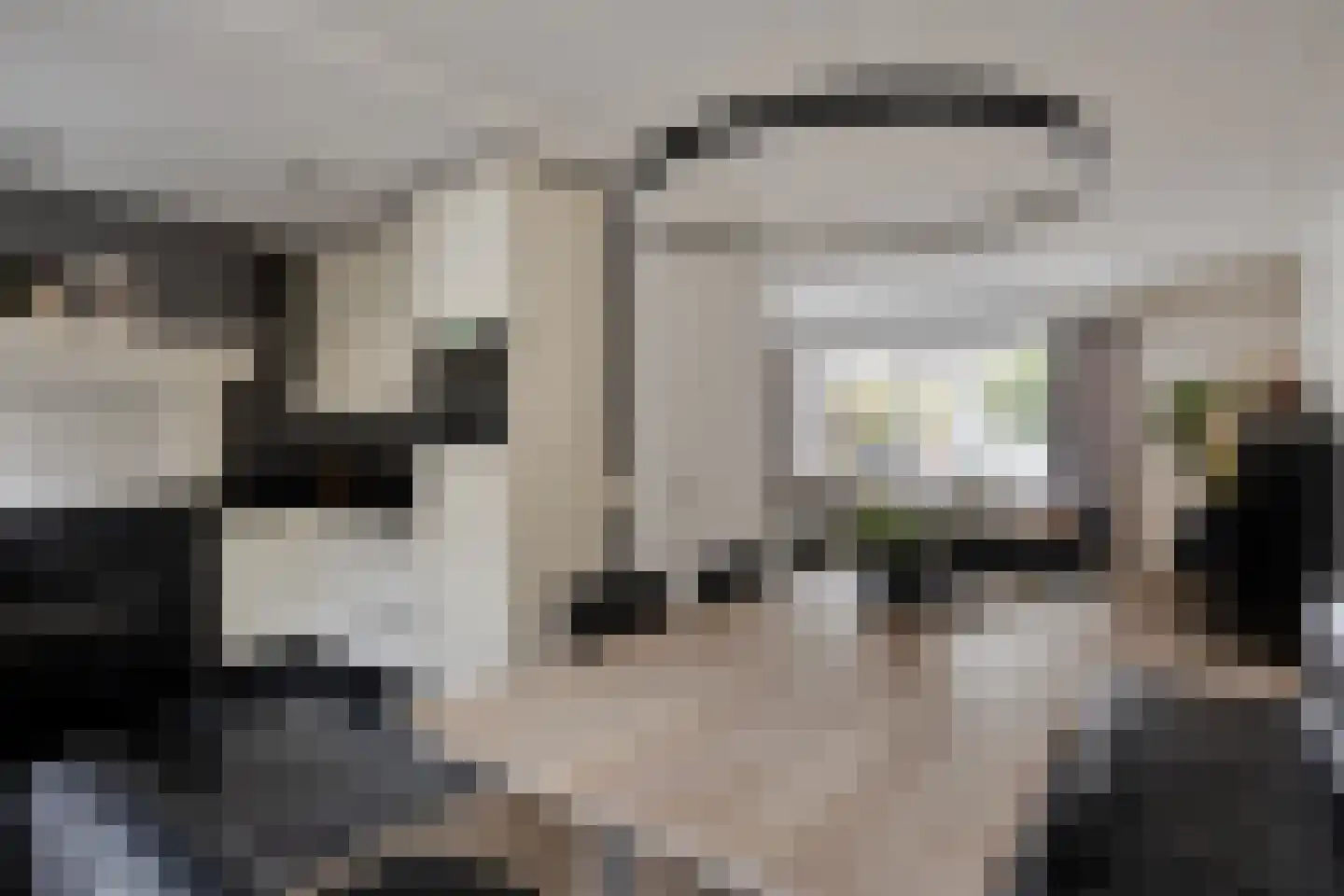Baselaarstraat 6 Ammerzoden thumbnail 10