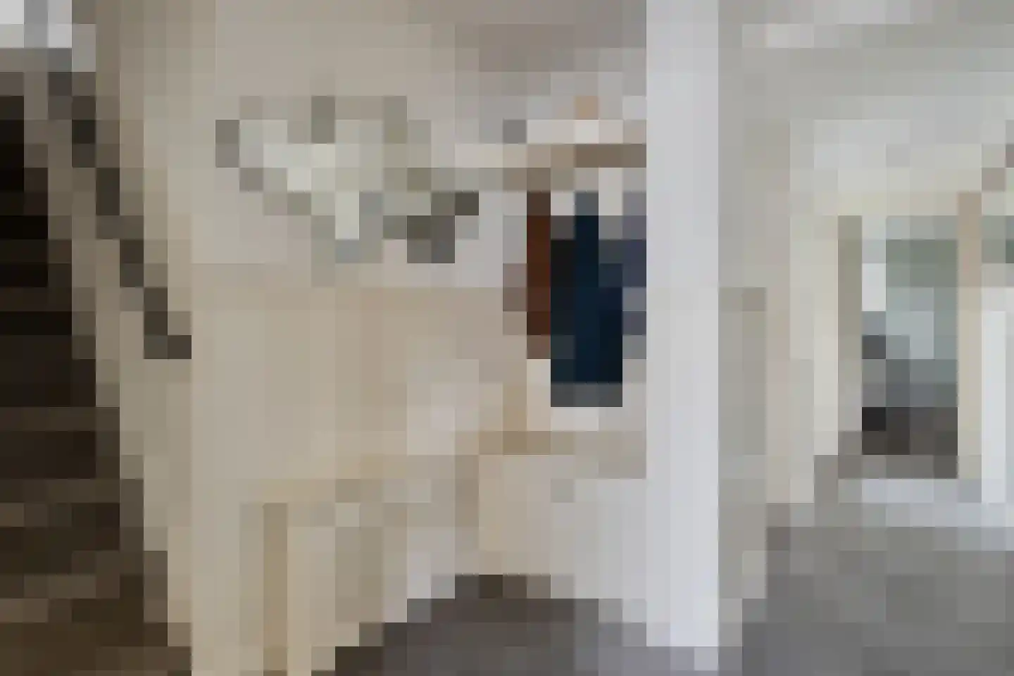 Baselaarstraat 6 Ammerzoden thumbnail 15