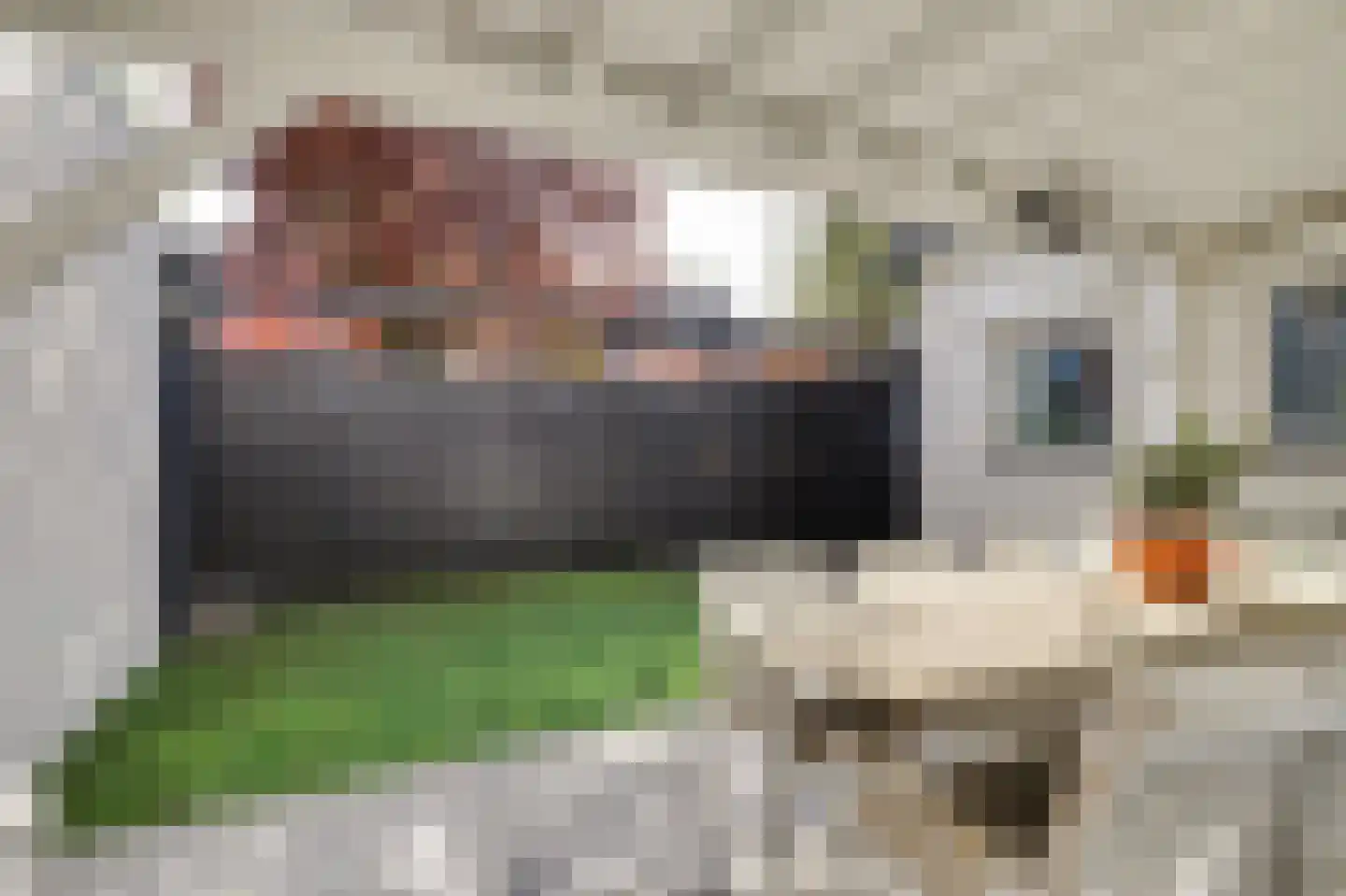 Baselaarstraat 6 Ammerzoden thumbnail 37