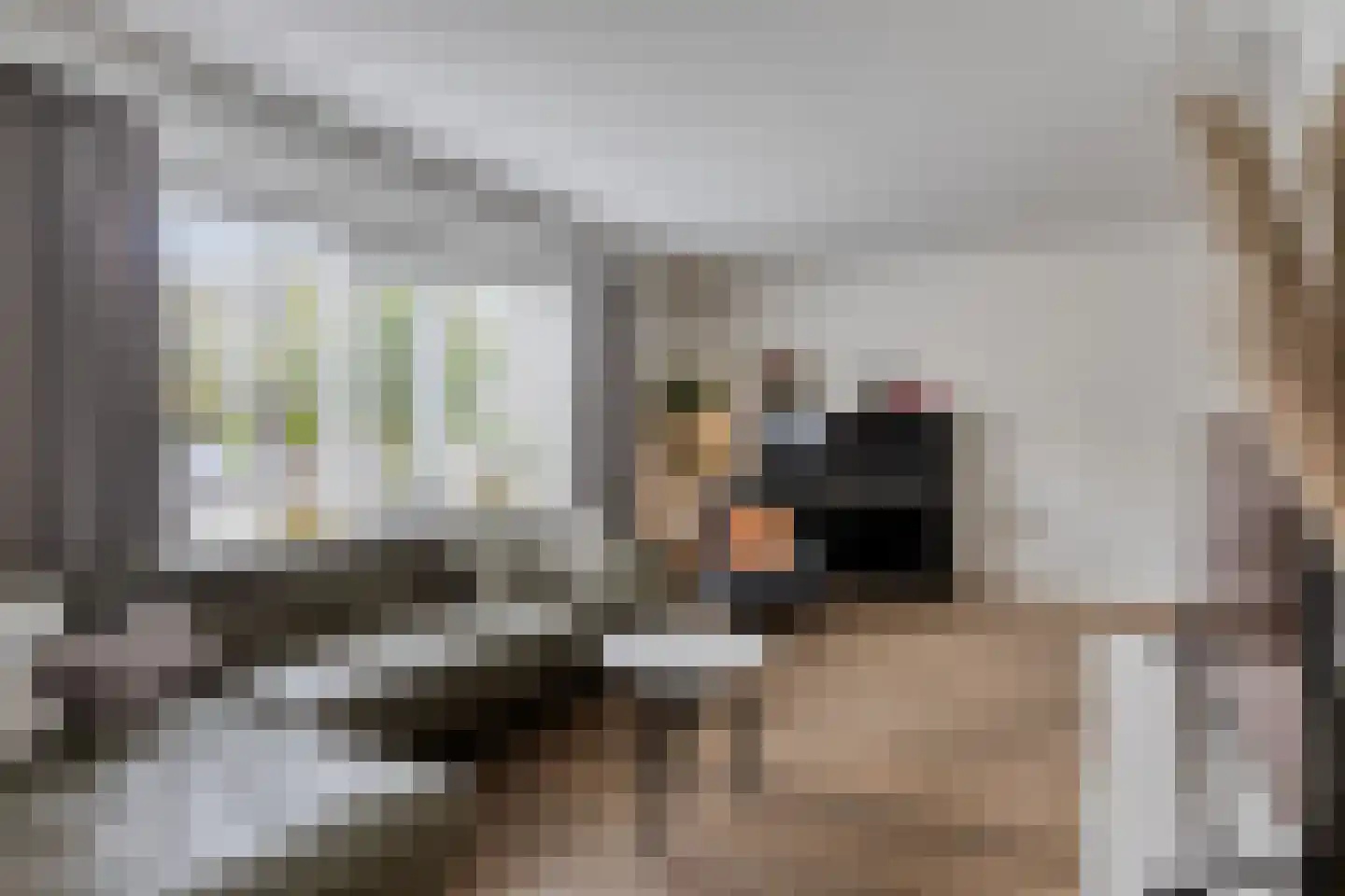 Baselaarstraat 6 Ammerzoden thumbnail 5