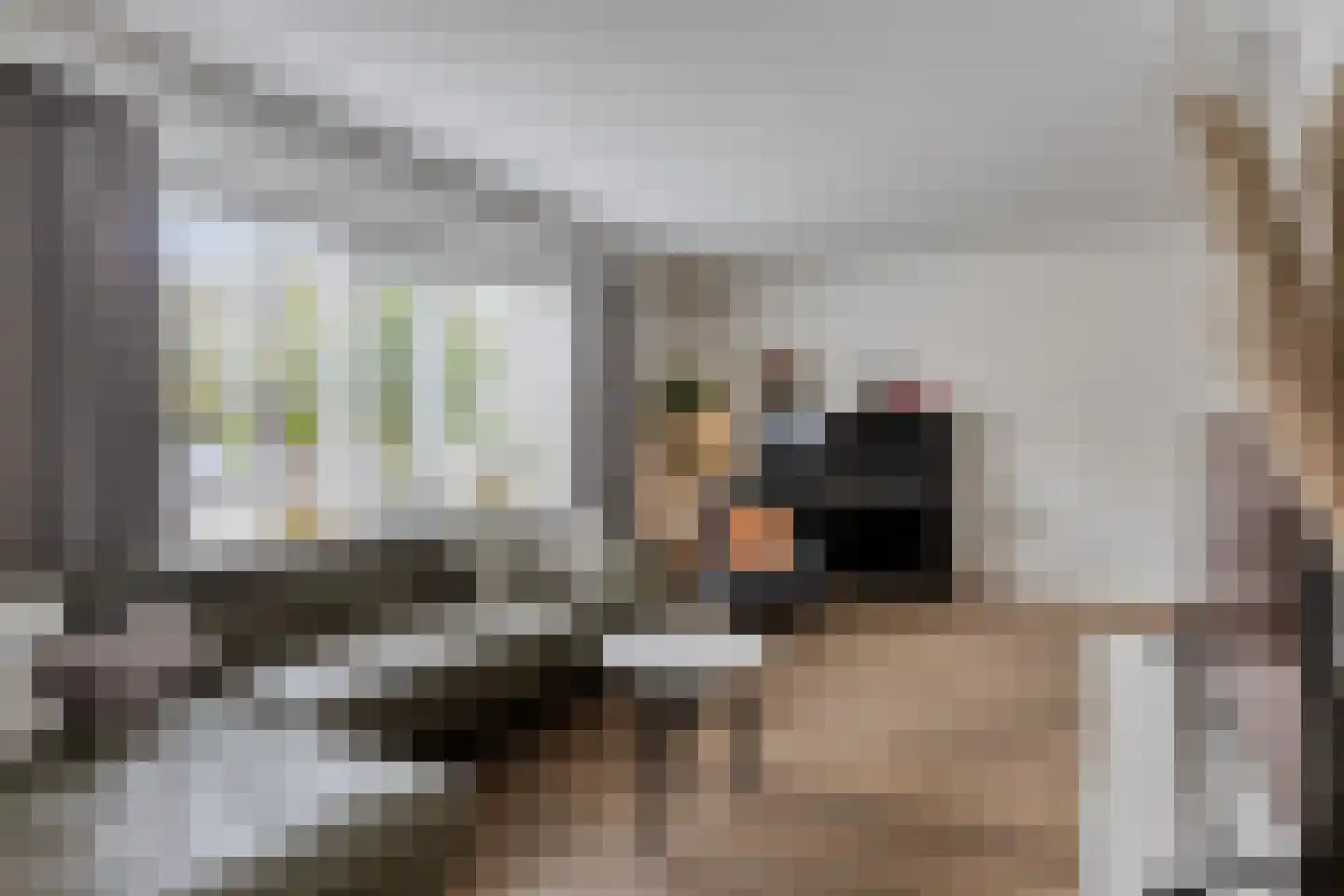 Baselaarstraat 6 Ammerzoden thumbnail 5