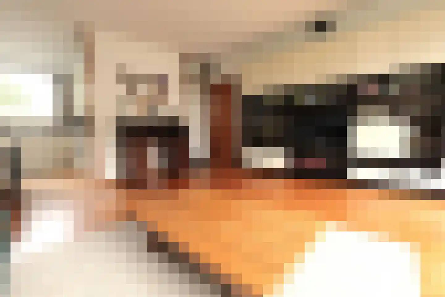 Basielhof 14 Oosterhout thumbnail 12