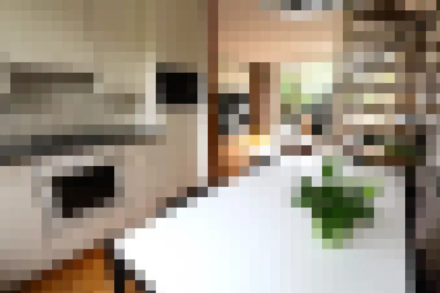 Basielhof 14 Oosterhout thumbnail 16